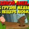 Смешной анекдот. Кто-то жопу не помыл. Мультанекдот