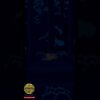 Личное: [ID: AFPqDO9btYc] Youtube Automatic