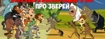 Личное: [ID: fbBYCr7gsLg] Youtube Automatic