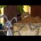 Личное: [ID: 0J4bNvfdBaM] Youtube Automatic