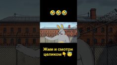 [ID: 7bpw11Un3EU] Youtube Automatic