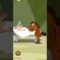 [ID: q9eZcyytYAQ] Youtube Automatic