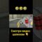 [ID: TNvZvWUP8SA] Youtube Automatic